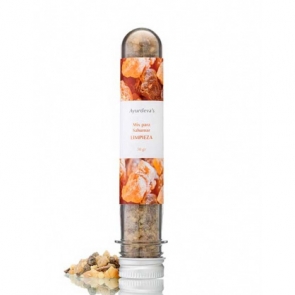 Sahumador Ayurdévico